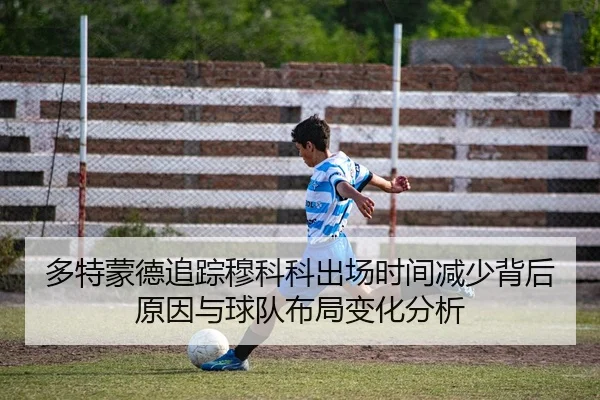 多特蒙德追踪穆科科出场时间减少背后原因与球队布局变化分析